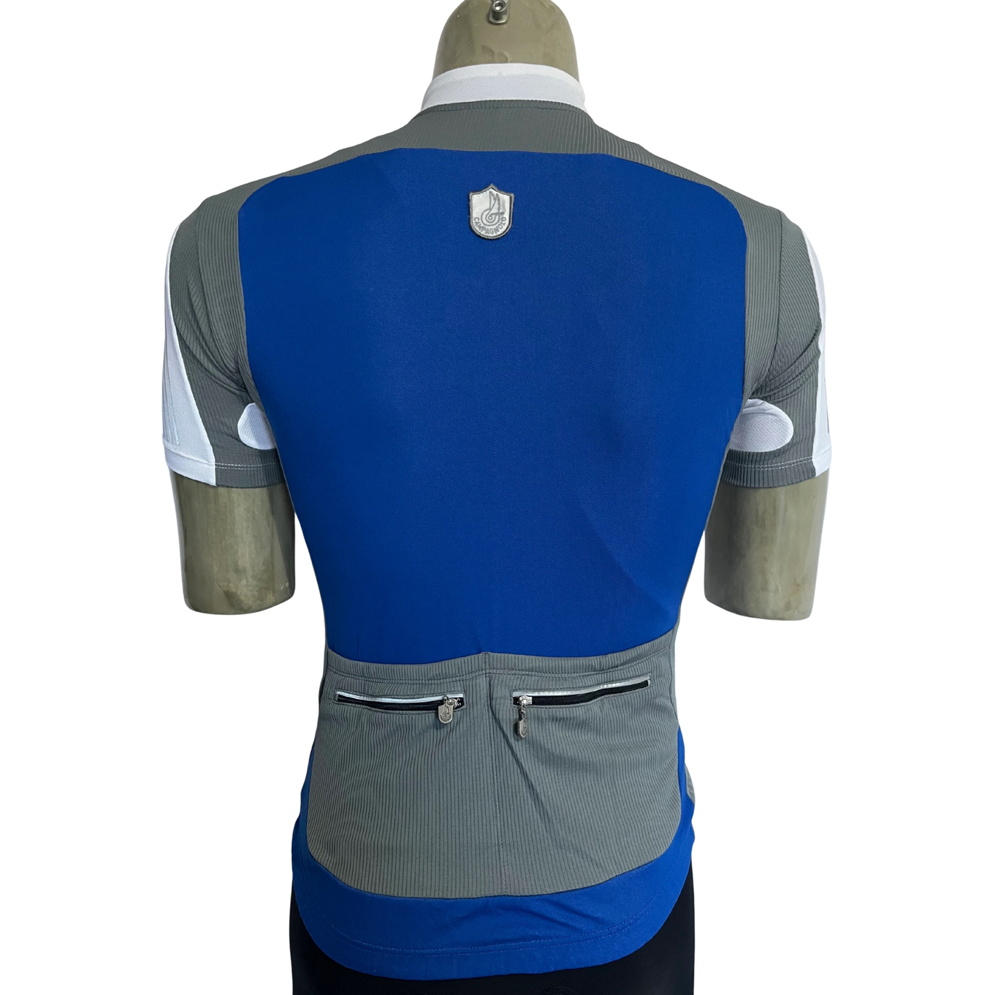 Campagnolo Raytech full zip jersey blue/grey