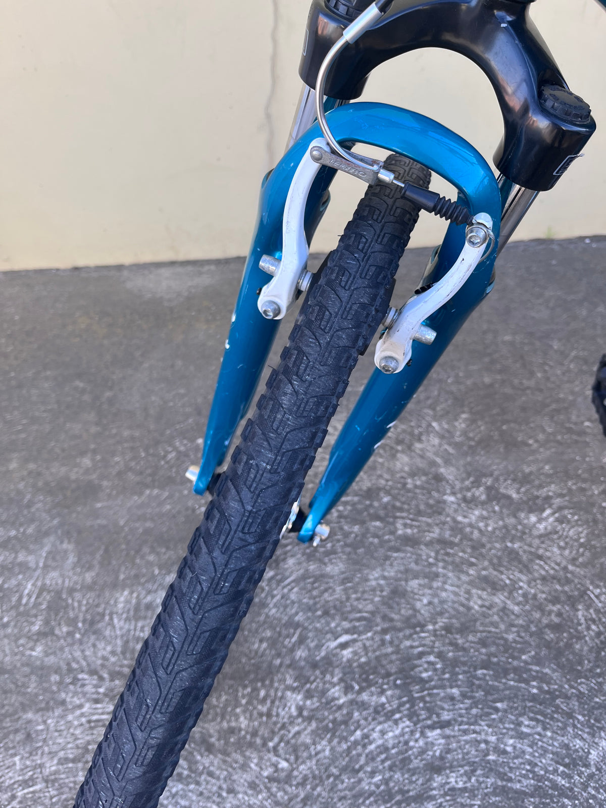 Trek Verve 2 Green Small