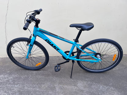 Giant CTC Jnr 24” green