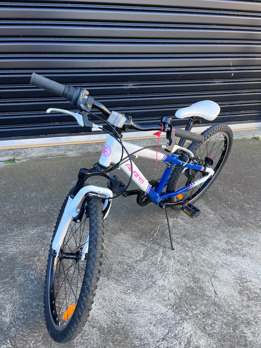 Avanti Spice 24” Girls bike