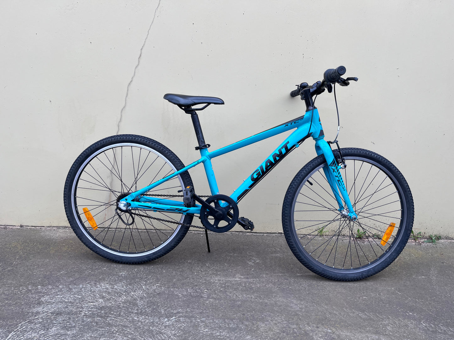 Giant CTC Jnr 24” green