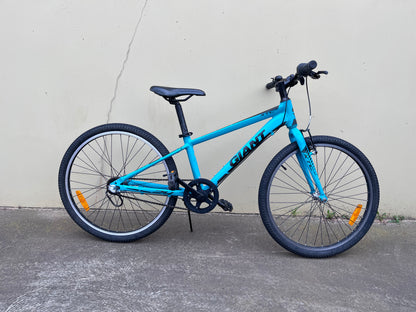 Giant CTC Jnr 24” green