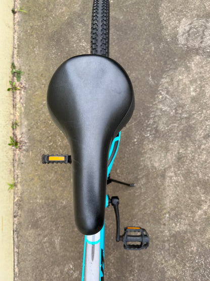 Giant CTC Jnr 24” green