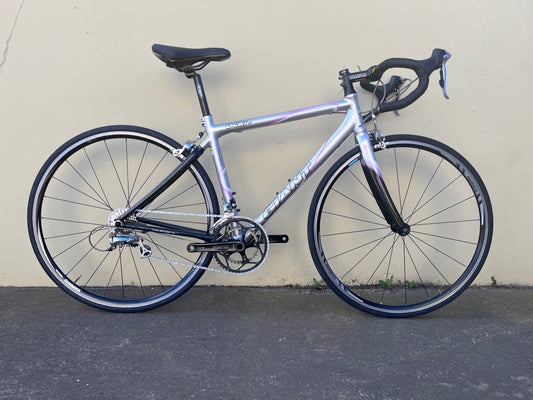 GIANT OCR1 SILVER/PINK X/SMALL