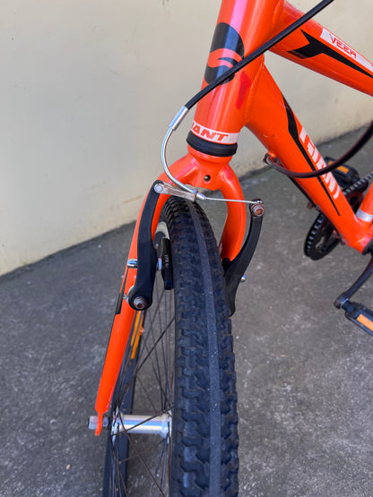GIANT VEER 24”ORANGE KIDS