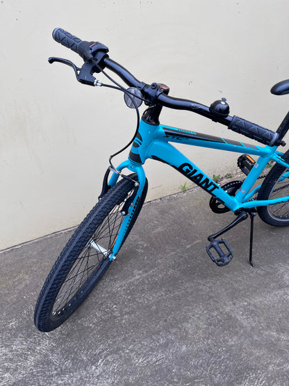 Giant CTC Jnr 24” green