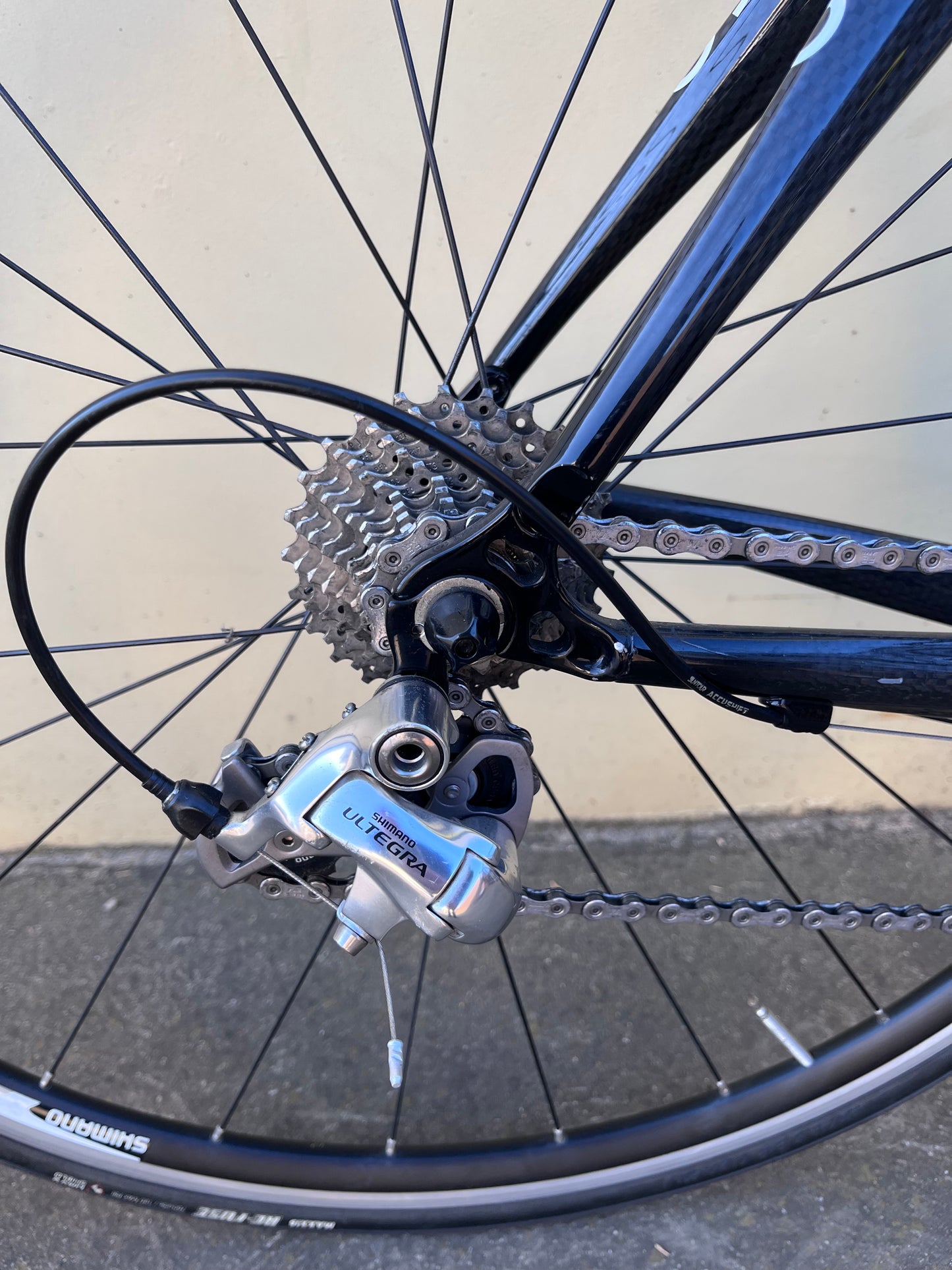 OLMO TECHO - Medium | Carbon/Yellow