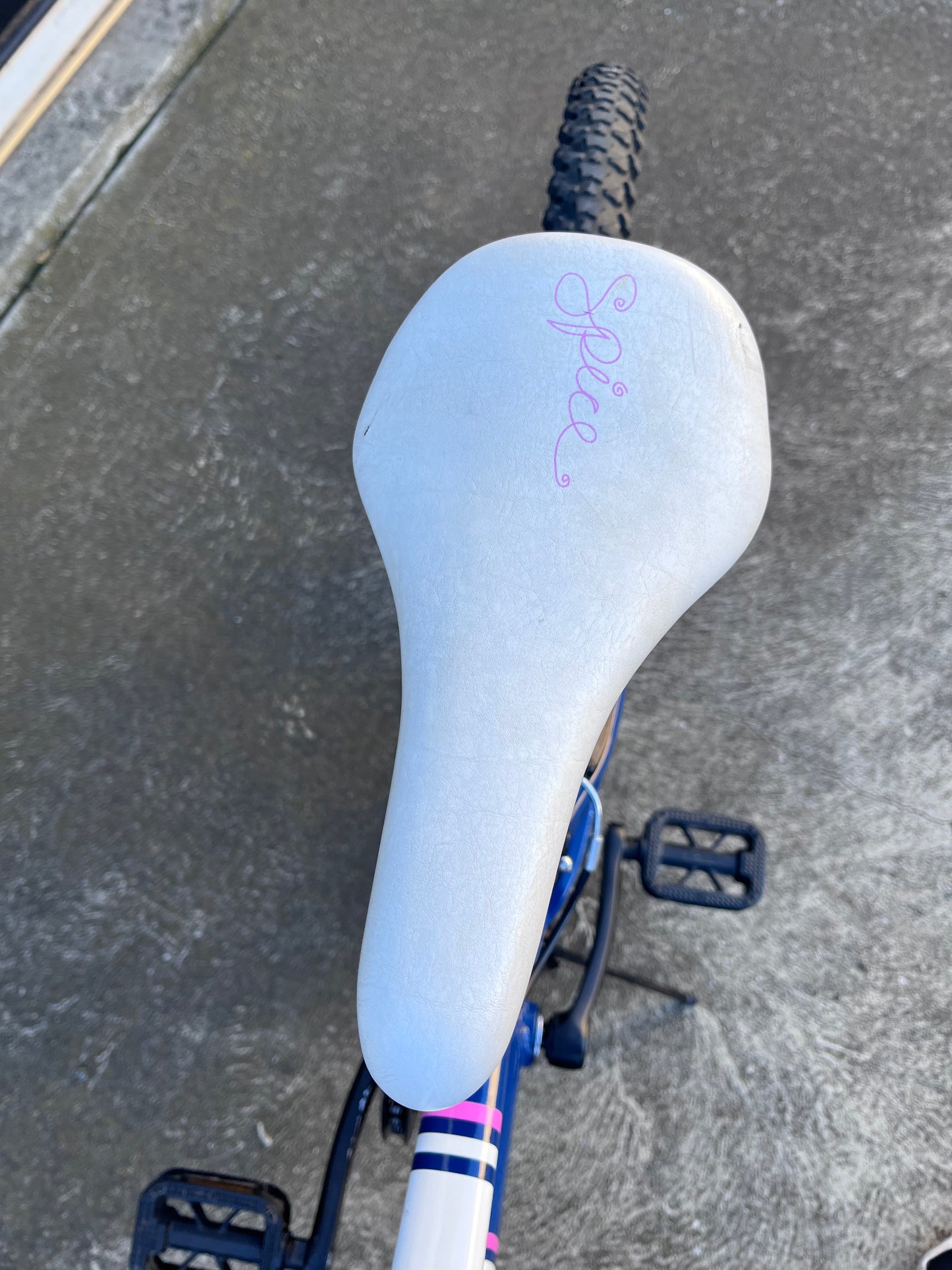 Avanti Spice 24” Girls bike