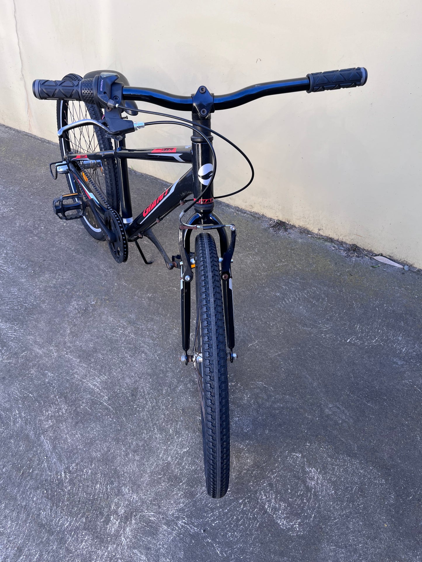 Giant Veer 24” Black