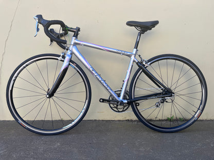 GIANT OCR1 SILVER/PINK X/SMALL