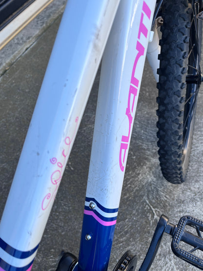 Avanti Spice 24” Girls bike