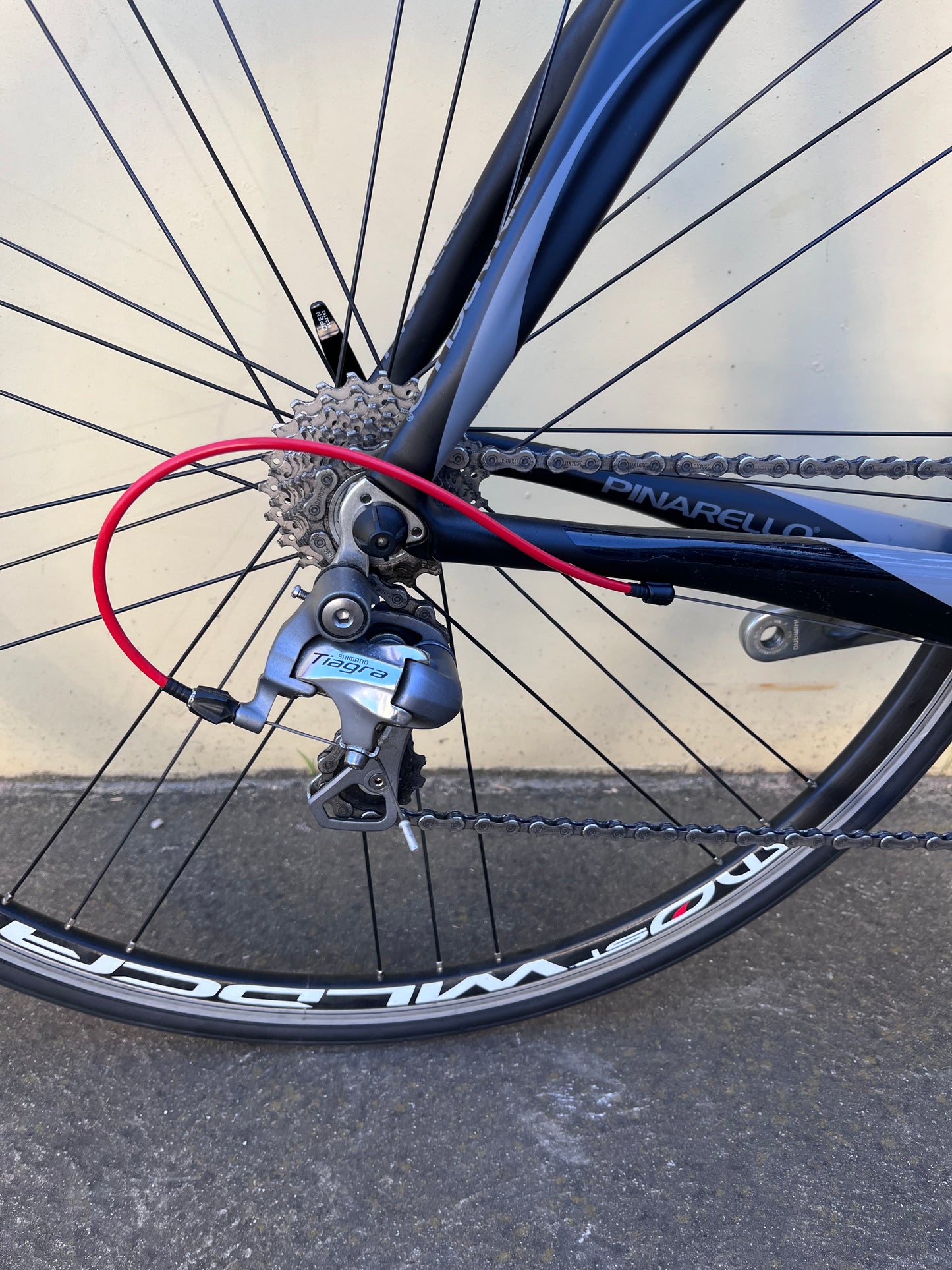 Pinarello FP UNO - 55cm col Black/Grey