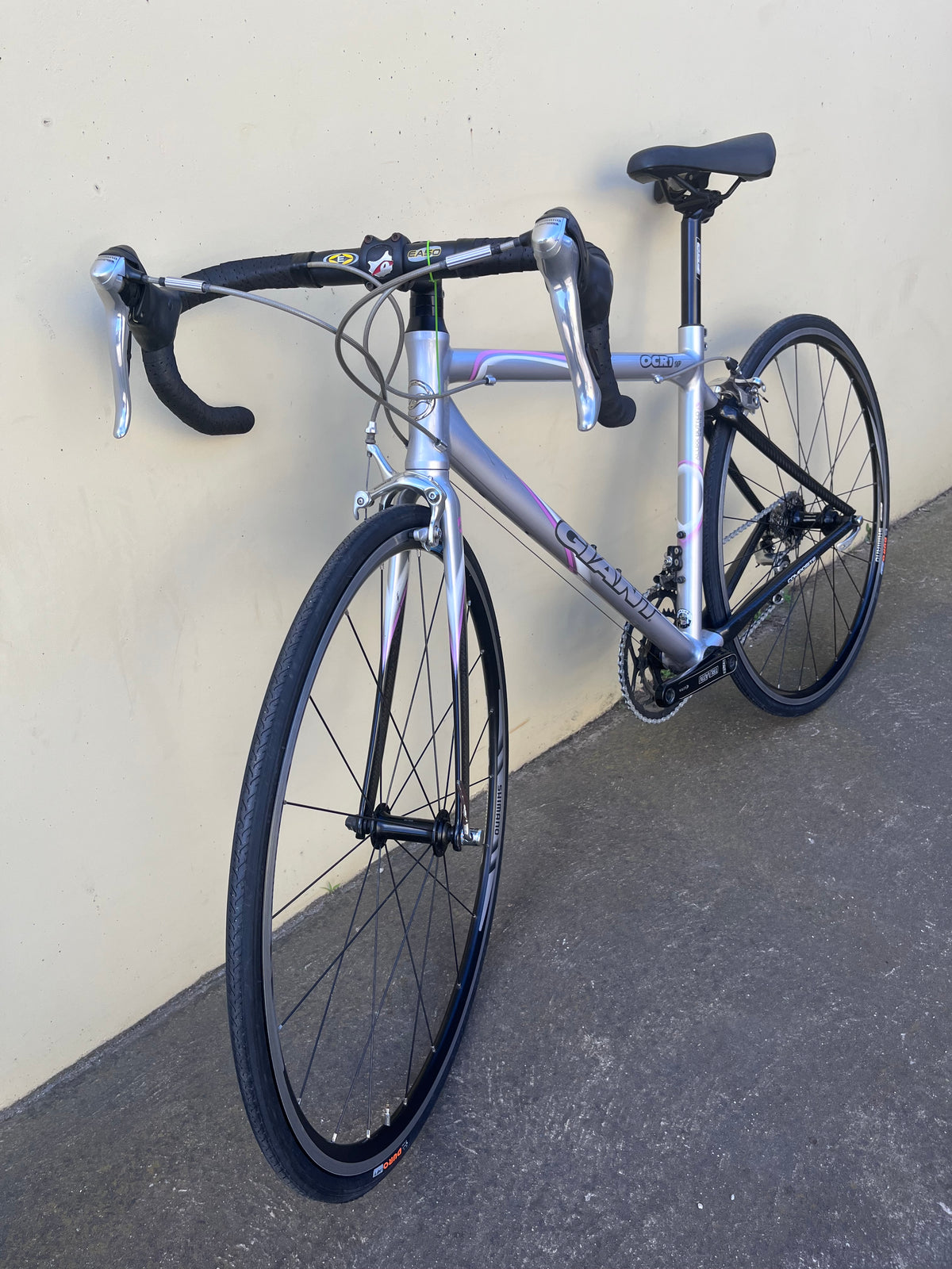 GIANT OCR1 SILVER/PINK X/SMALL