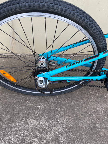 Giant CTC Jnr 24” green