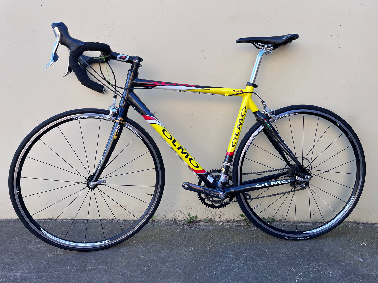 OLMO TECHO - Medium | Carbon/Yellow