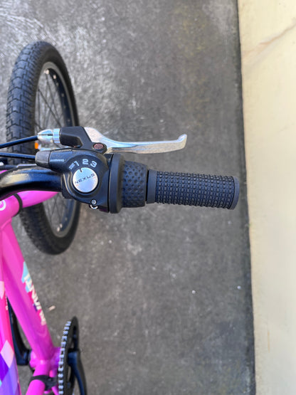 Avanti Spice 20” kids bike Pink
