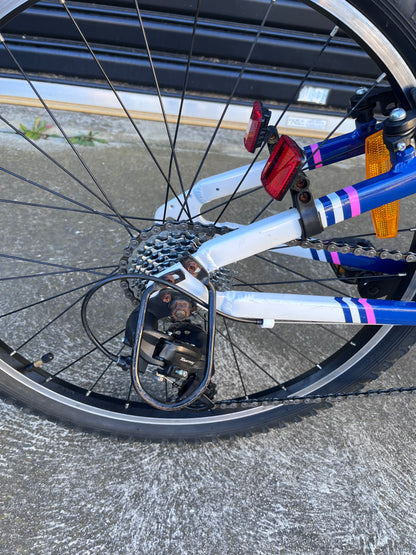 Avanti Spice 24” Girls bike