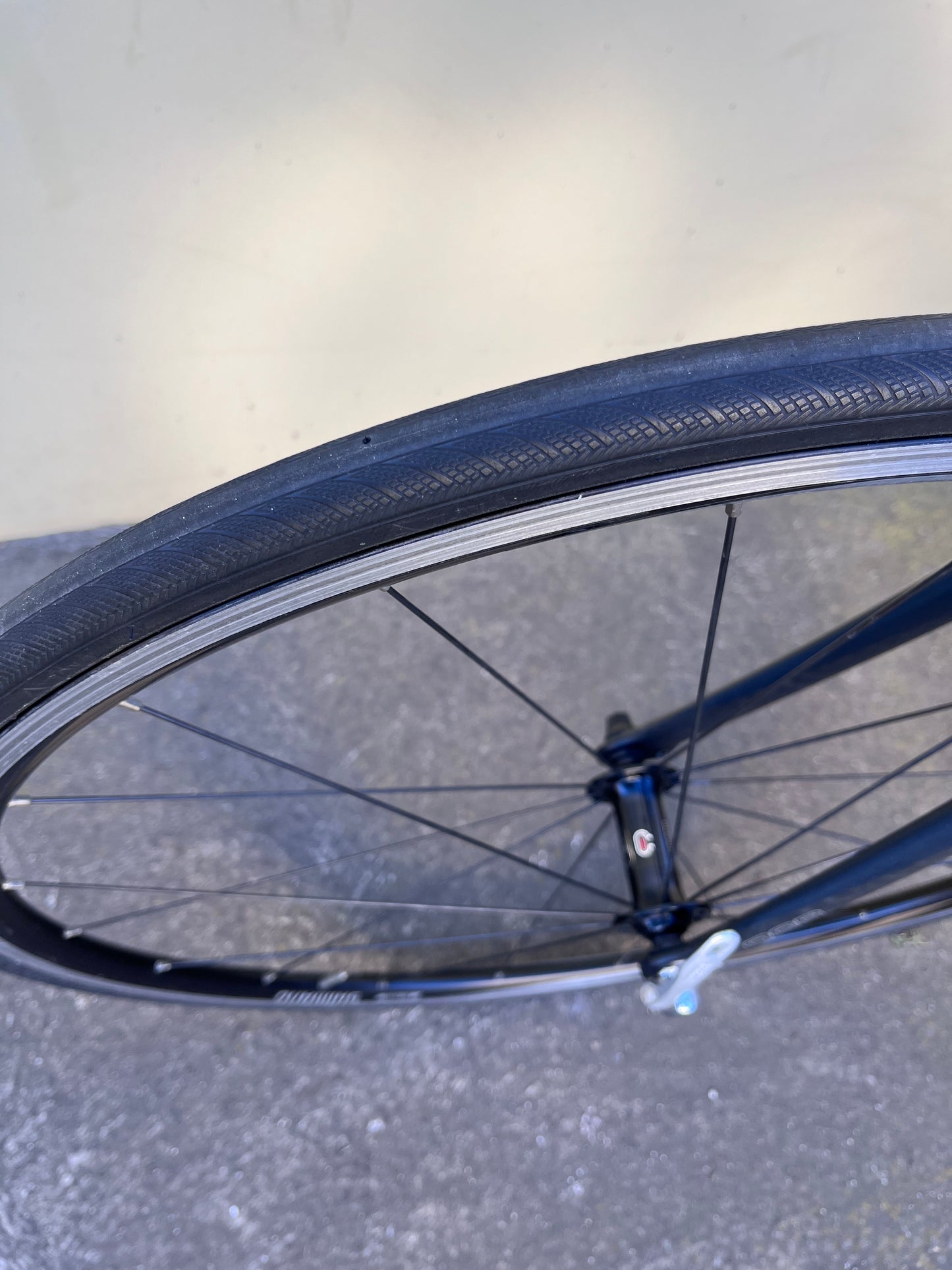 GIANT OCR1 SILVER /BLACK LARGE