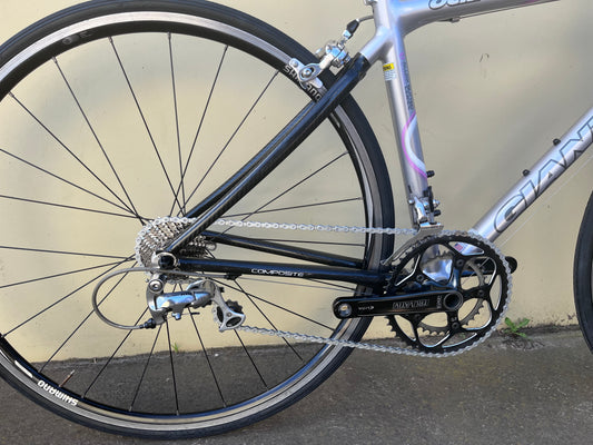 GIANT OCR1 SILVER/PINK X/SMALL
