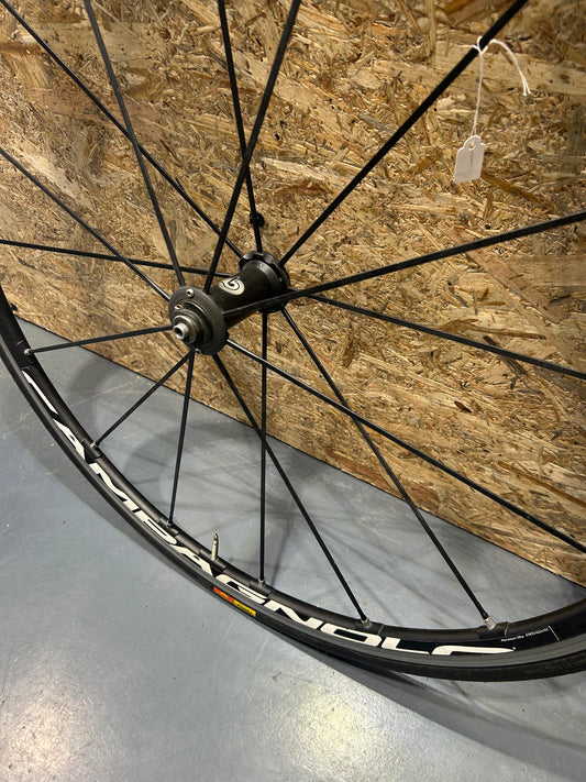 CAMPAGNOLO Eurus Front Wheel